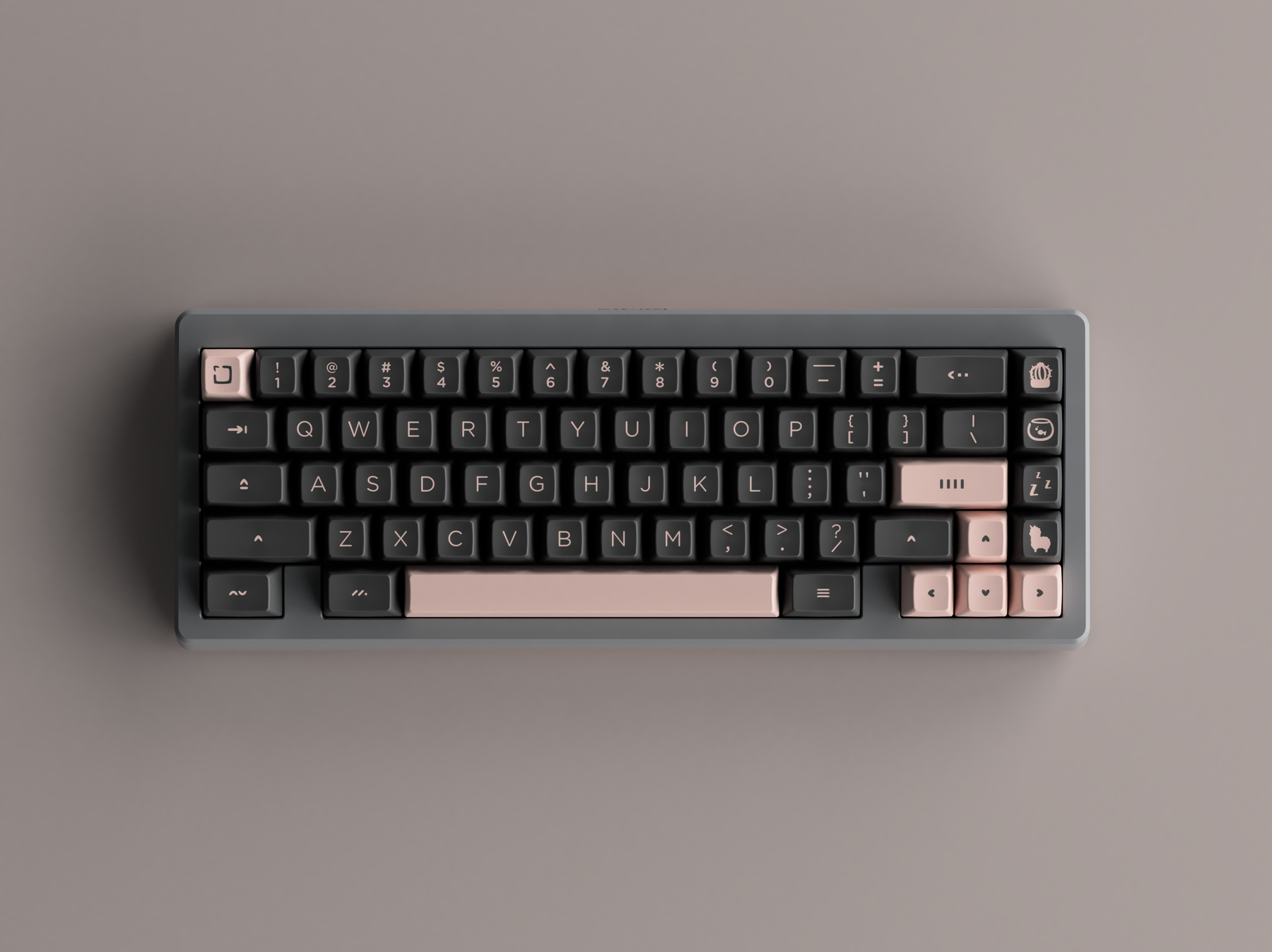 SA Bliss