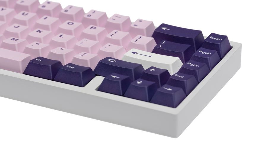 NicePBT Elderberry
