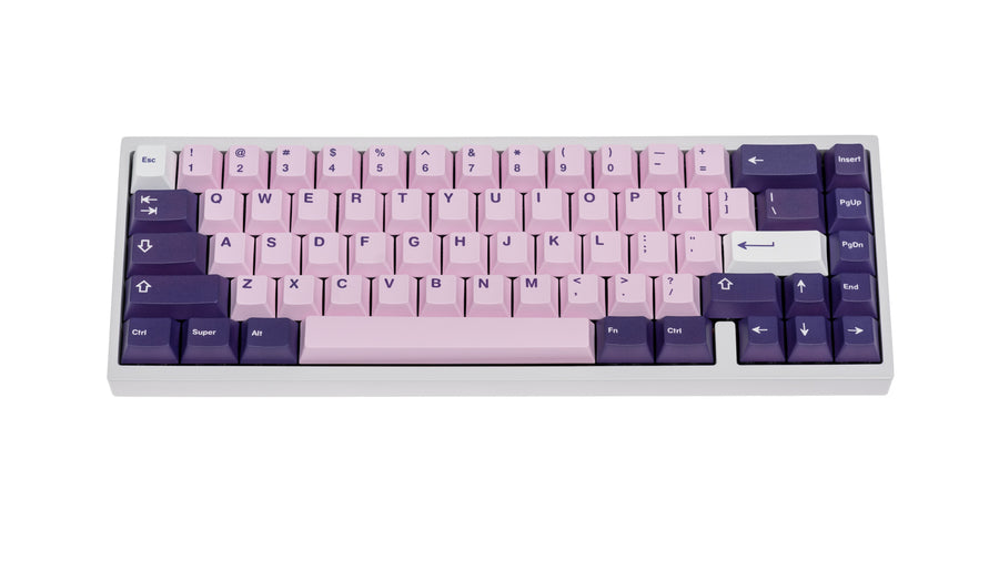 NicePBT Elderberry