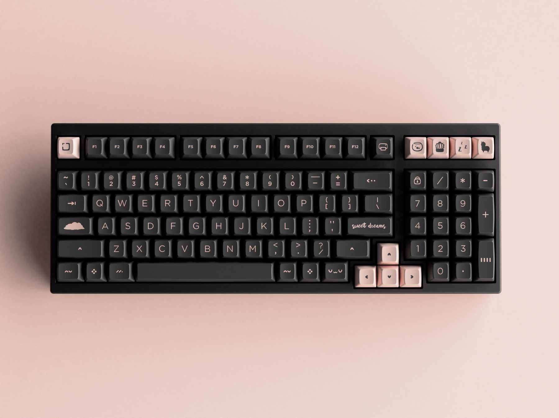 SA Bliss