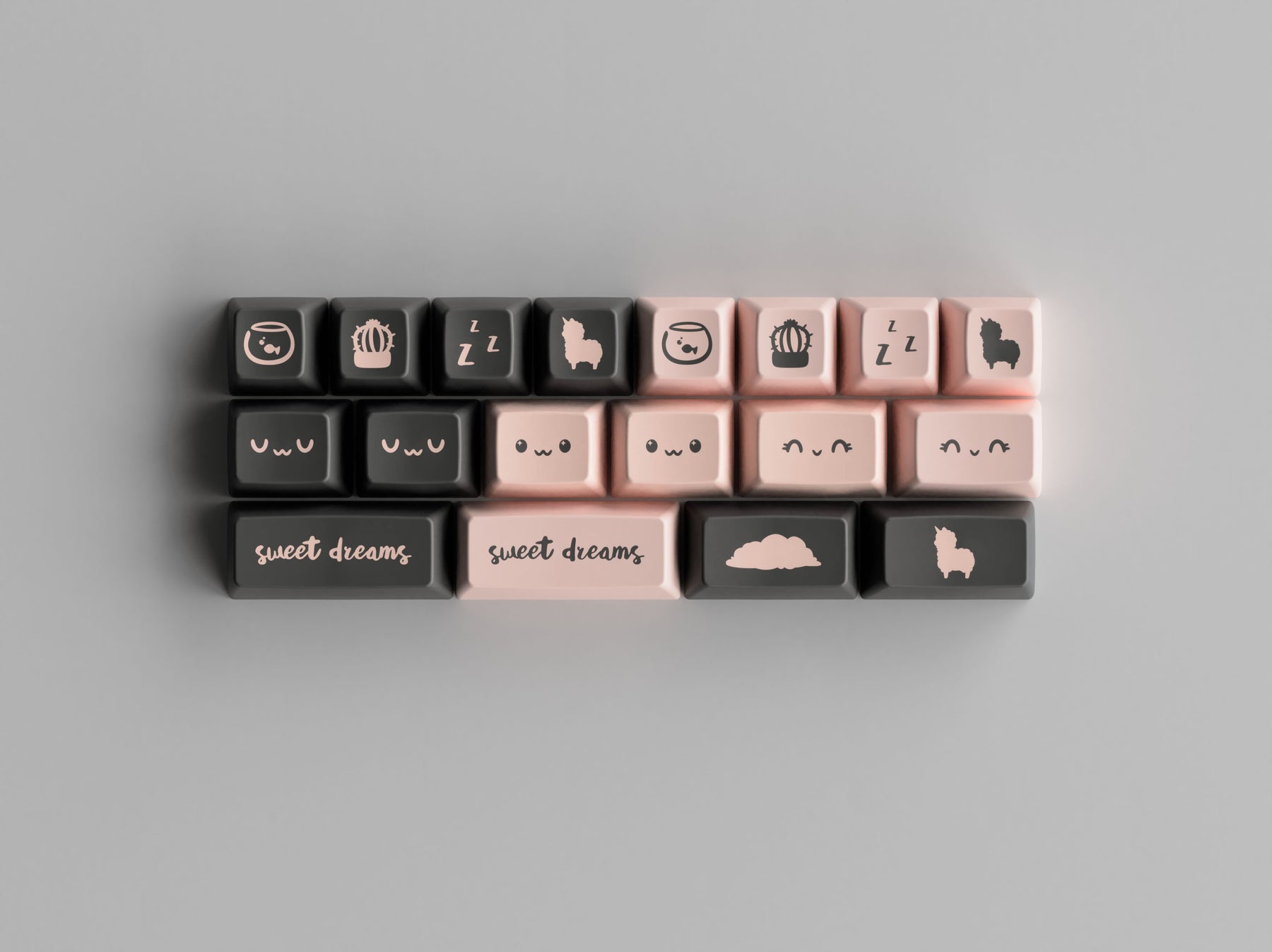 SA Bliss