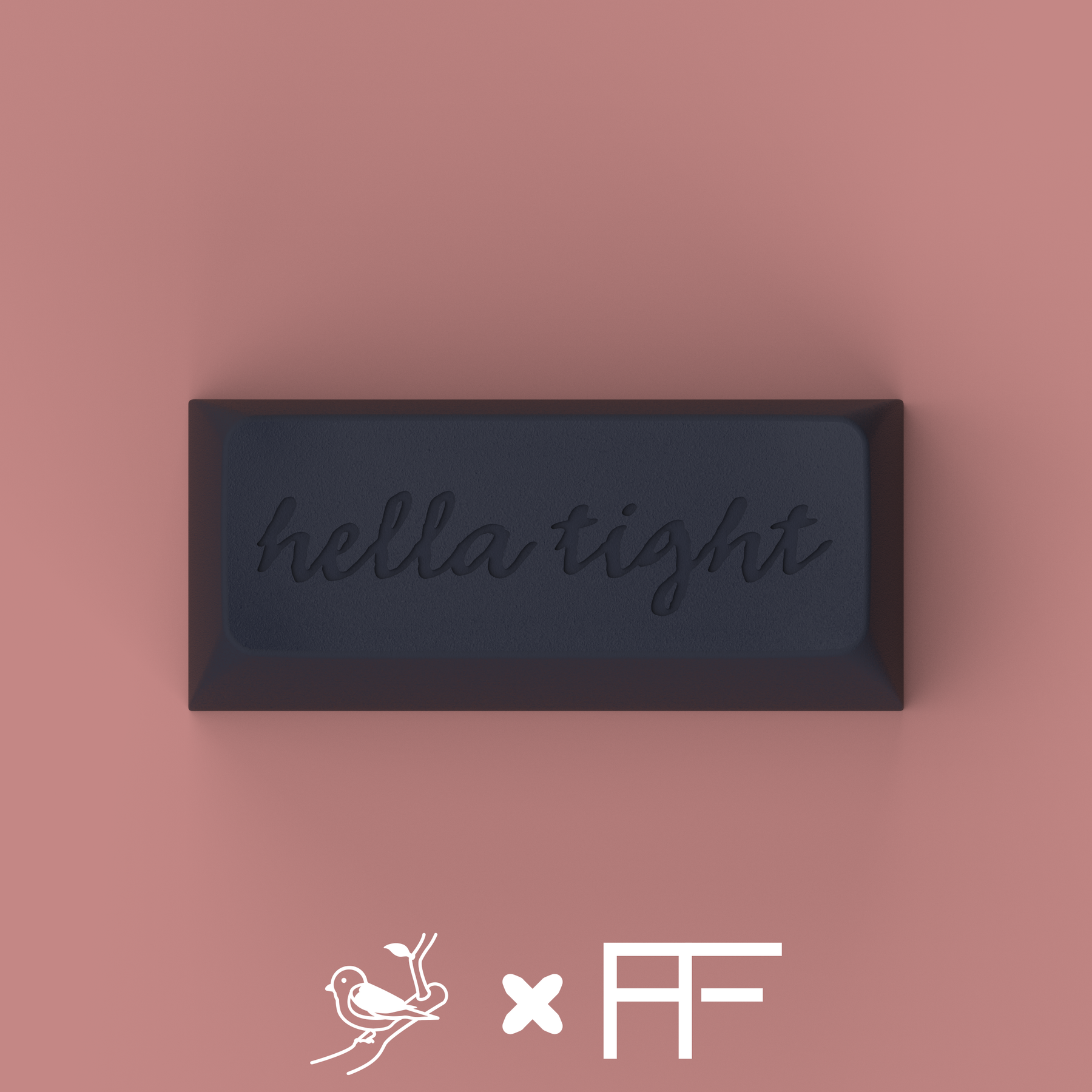SA Fledgling