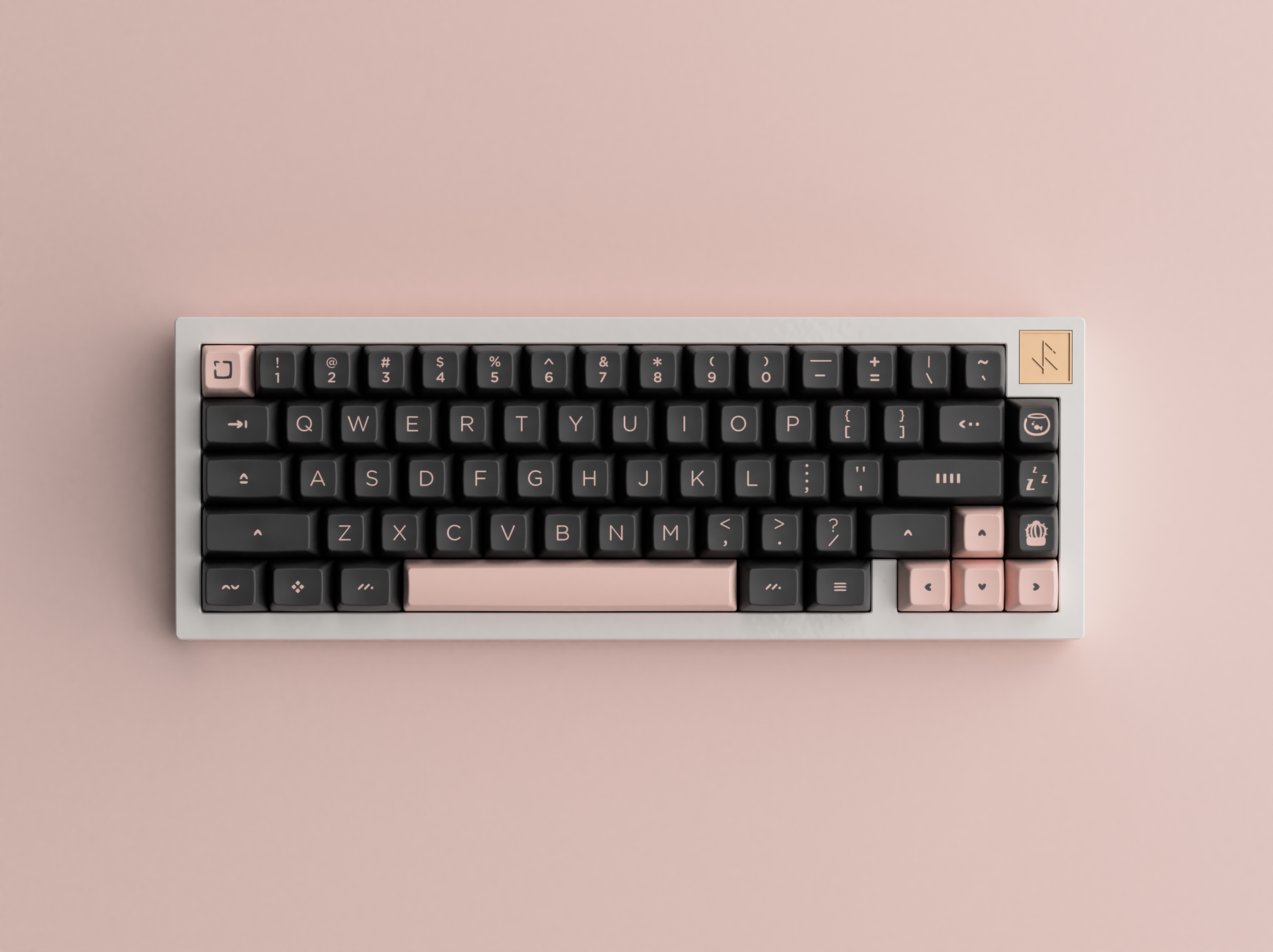 SA Bliss
