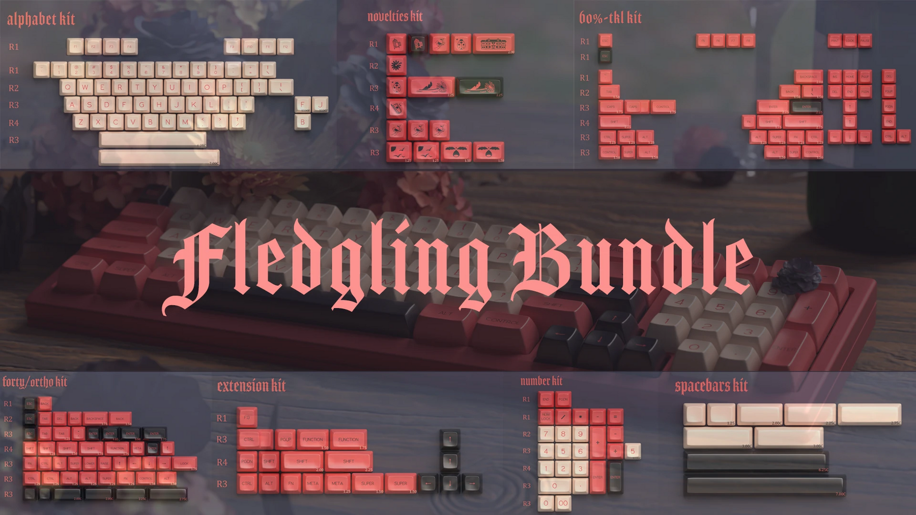 SA Fledgling
