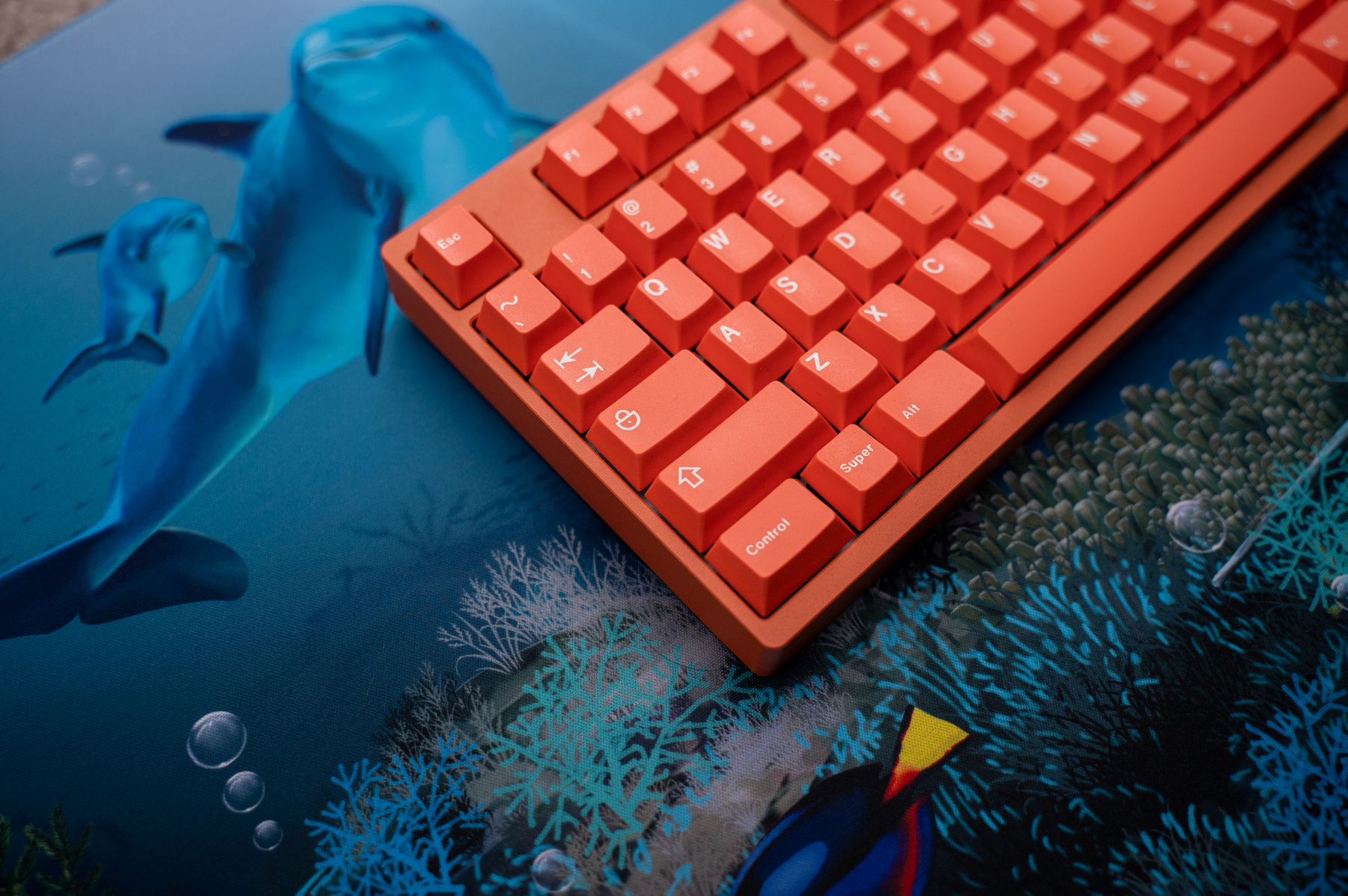 GMK Coral R2