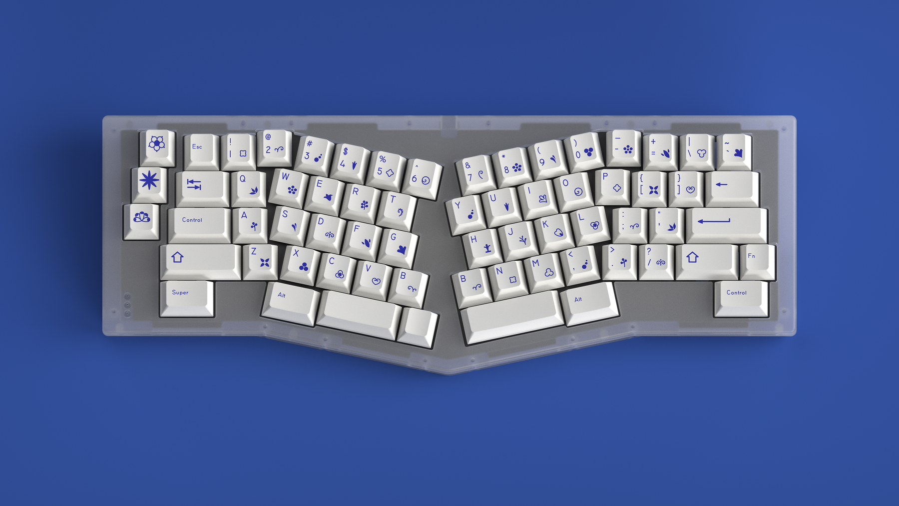 DCS Delftware