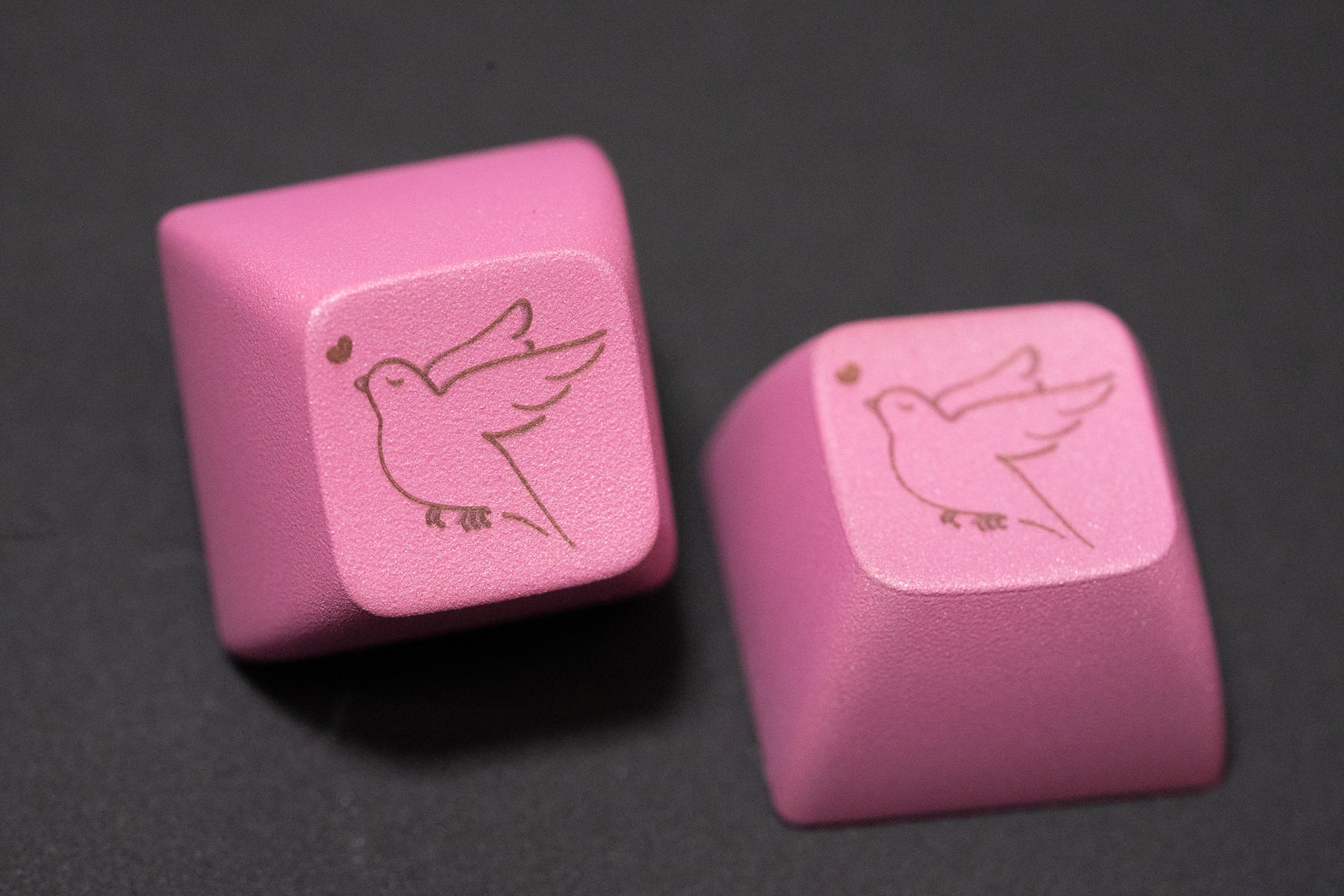 SA Fledgling