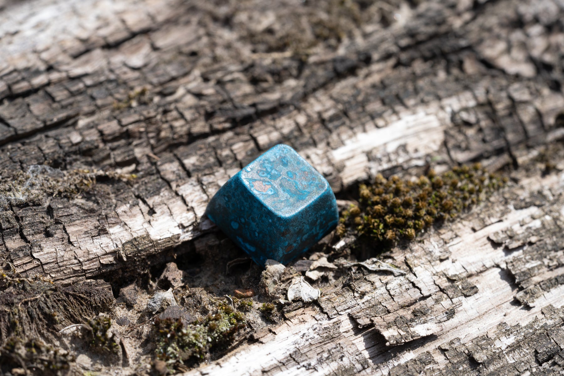 Salvun Artisan Extras