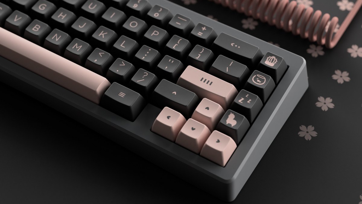 SA Bliss