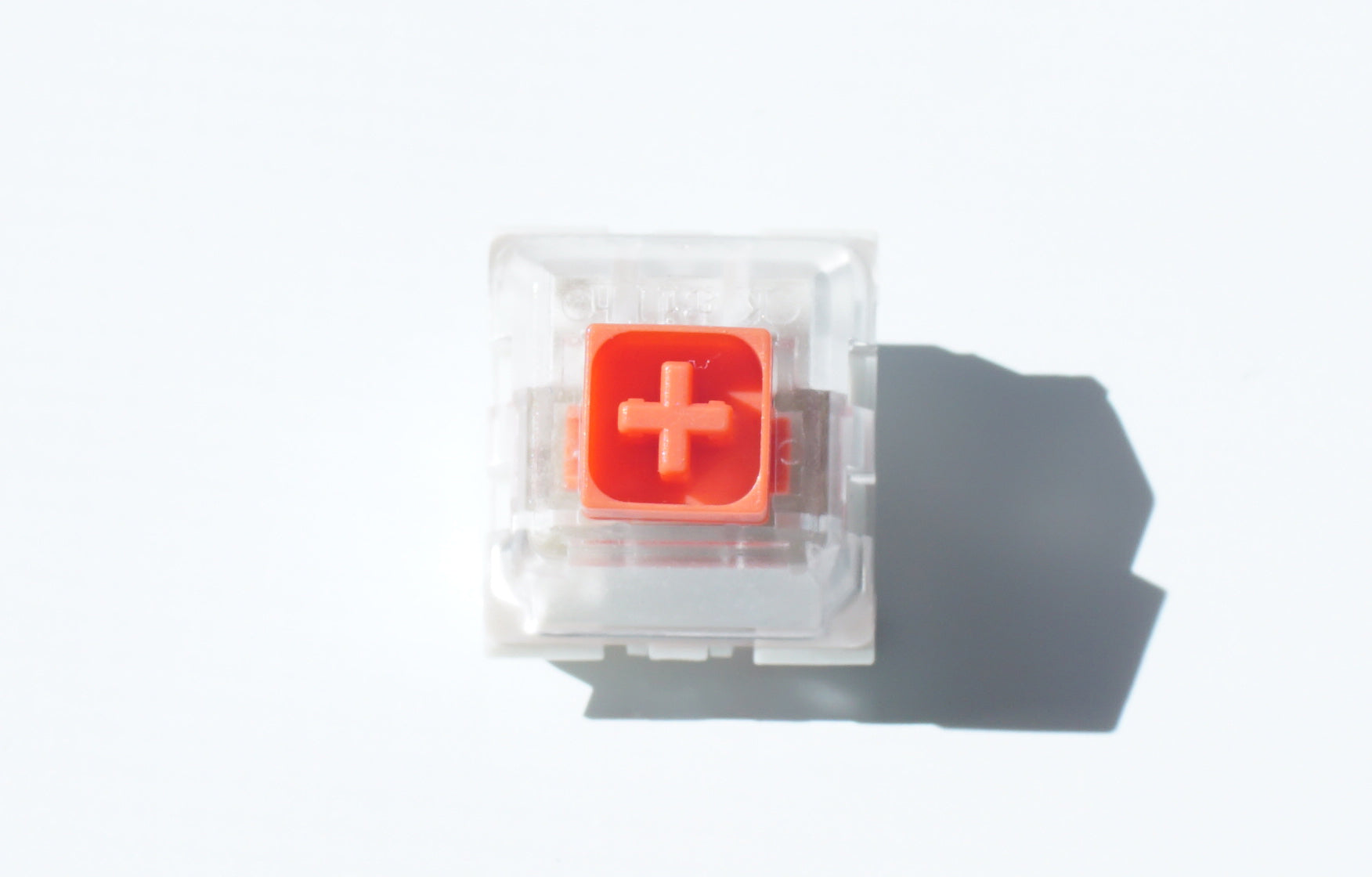 Burnt Orange BOX Switch Front