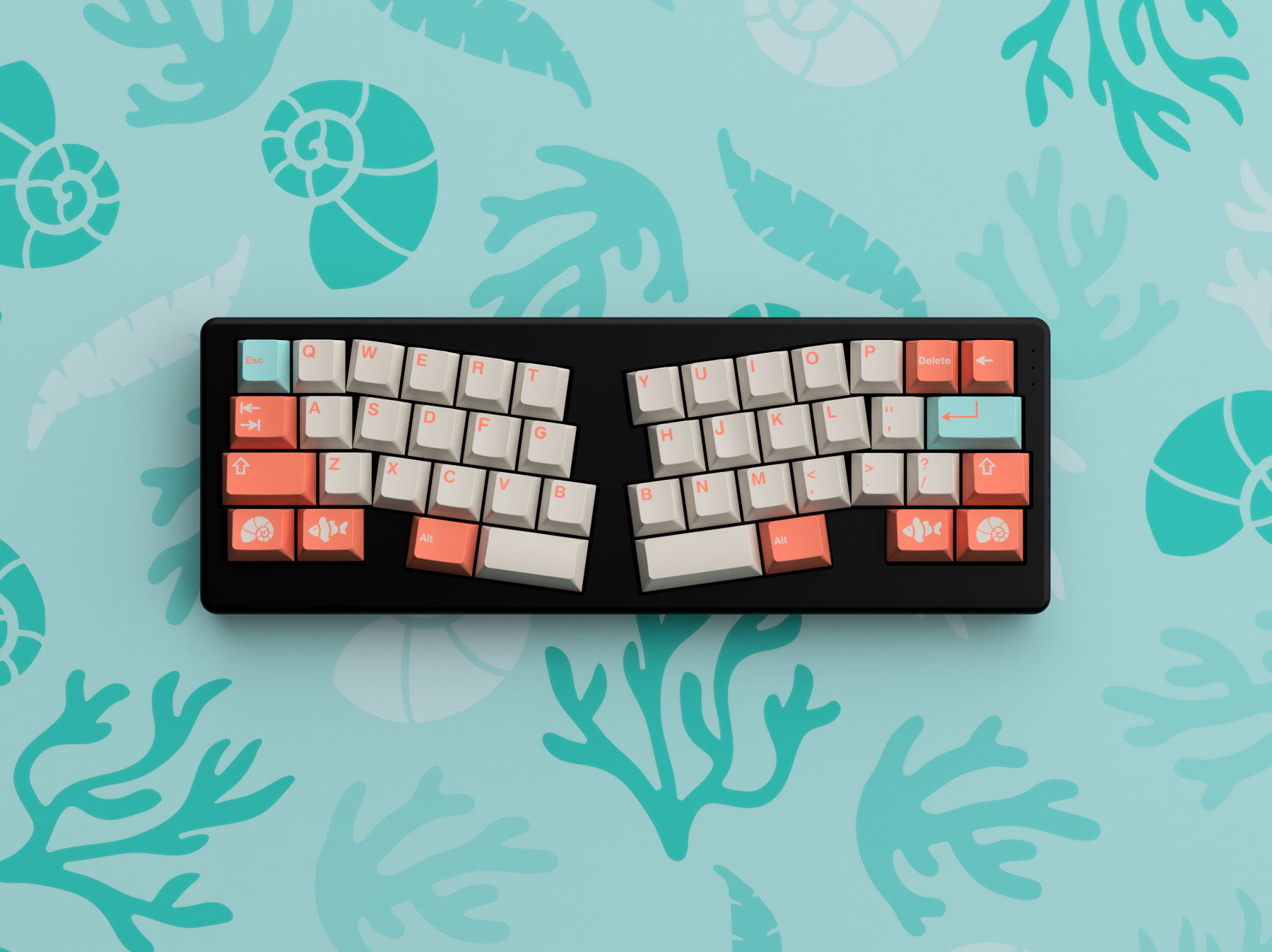 GMK Coral